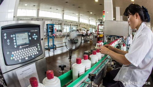 茅台厂安保 滴水不漏的防线，守护亿元酒香的秘密